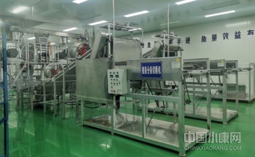 津甘协作花 绽放红土地 环县电子商务产业园巡礼